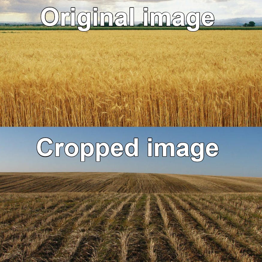 I coundn't wheat to show you this a-maize-zing grainy image - Memes.id