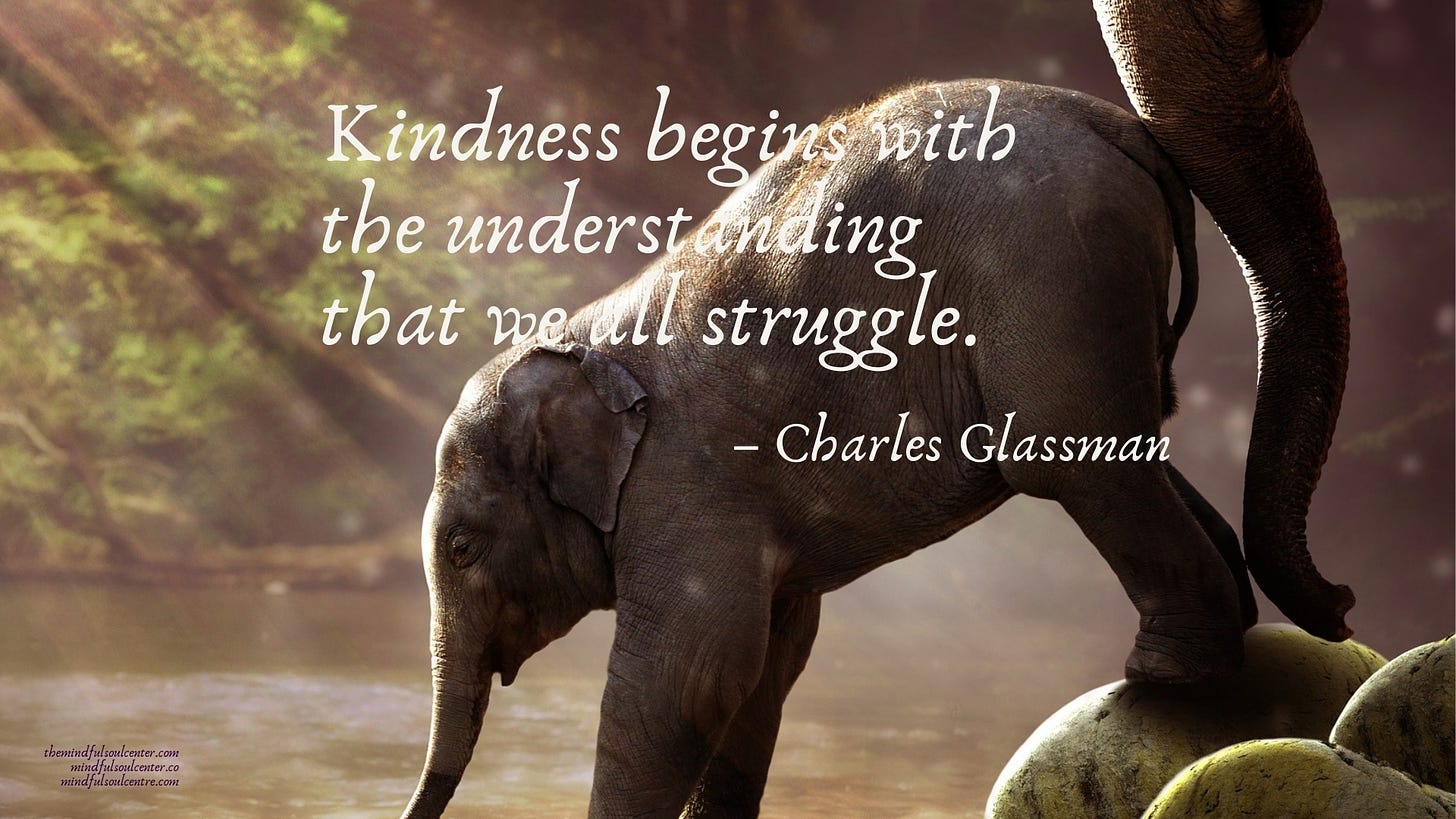 Kindness begins with the understanding that we all struggle - Charles Glassman