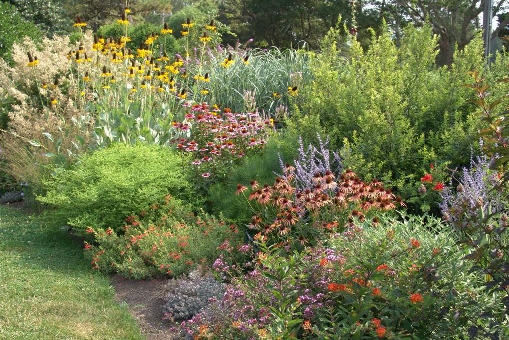 Low-Maintenance Planting Design: More Than Just Plant Selection ⋆ North Coast Gardening