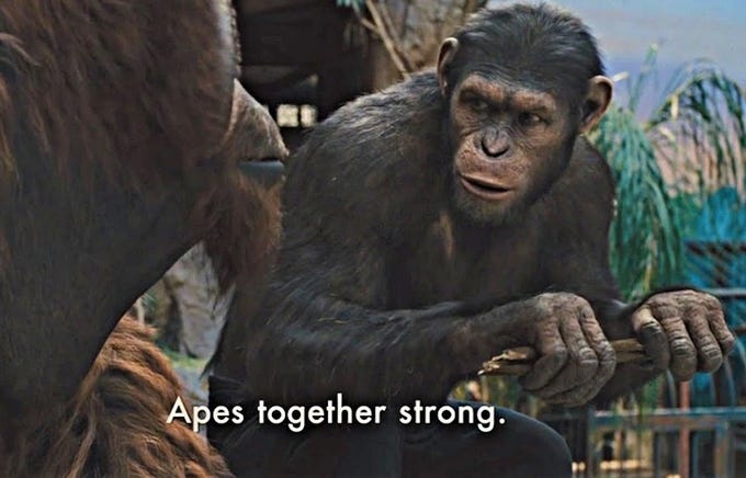 Apes Together Strong | Know Your Meme