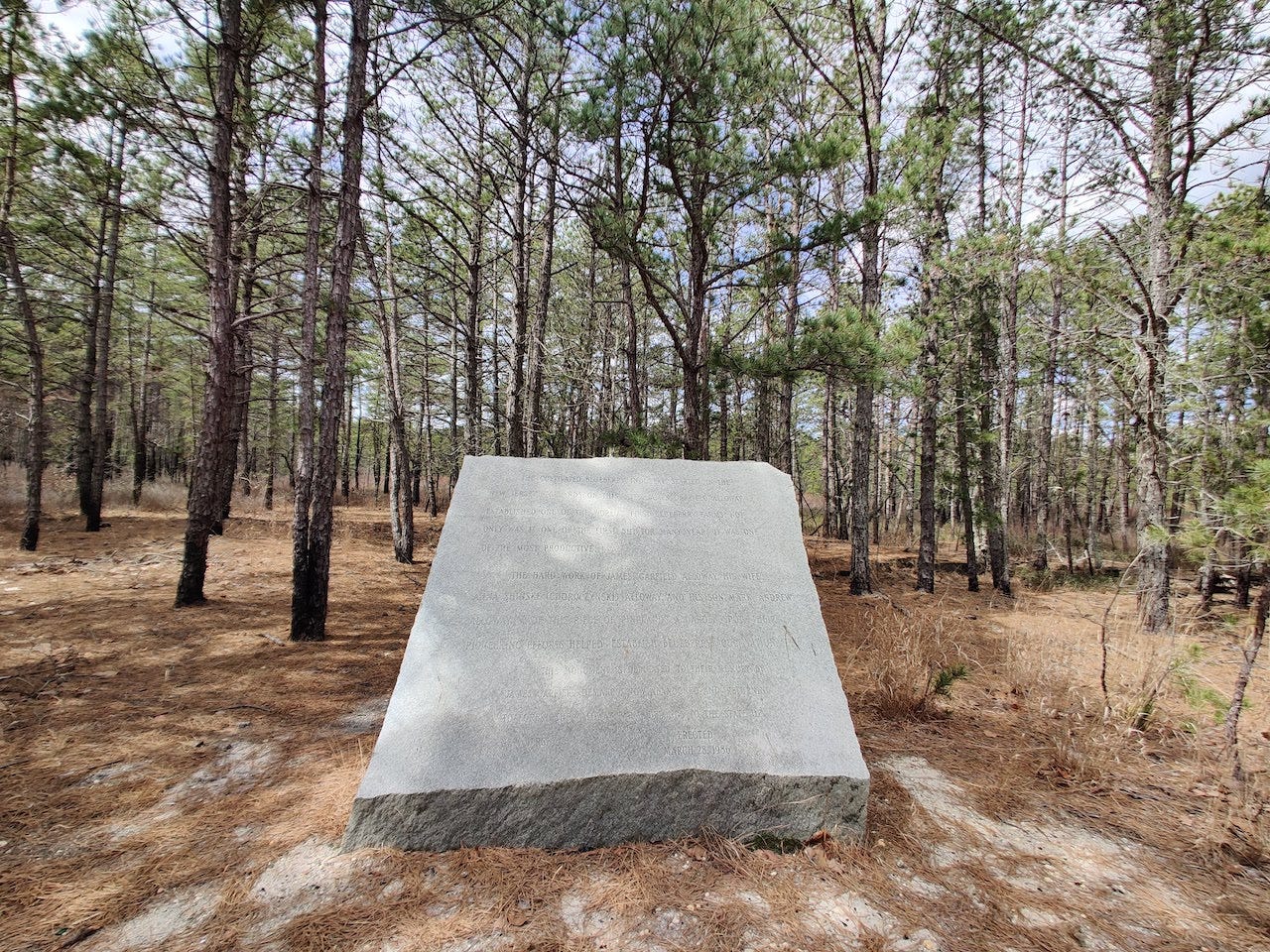 A white granite hulking trapezoid in the pines