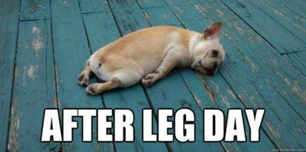 55+ Leg Day Memes Worthy Of Sharing With Your Friends ...