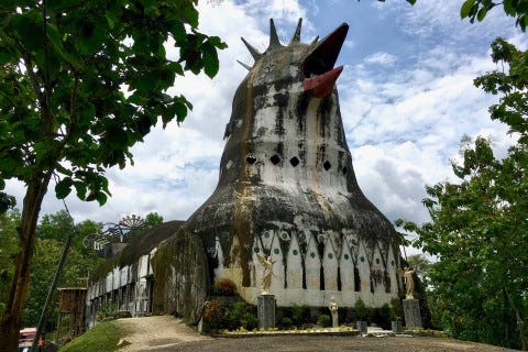 INDONESIA: An unexpected giant chicken
