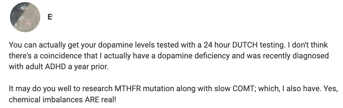 comment saying you can get your dopamine levels tested with a 24hr DUTCH Test and telling me to research MTHFR mutations