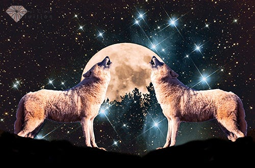 Wolves Howling At The Moon: The Meaning And Symbolism