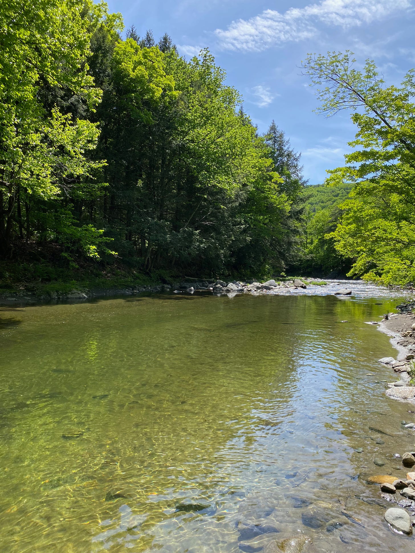 A still deep pool on a rocky river, rippled sunlight reflecting on its surface. Green trees in full leaf line the banks and the sky is a pale blue.