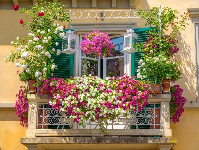 Flowers On Balcony Railing
Shutterstock.com
New York, NY