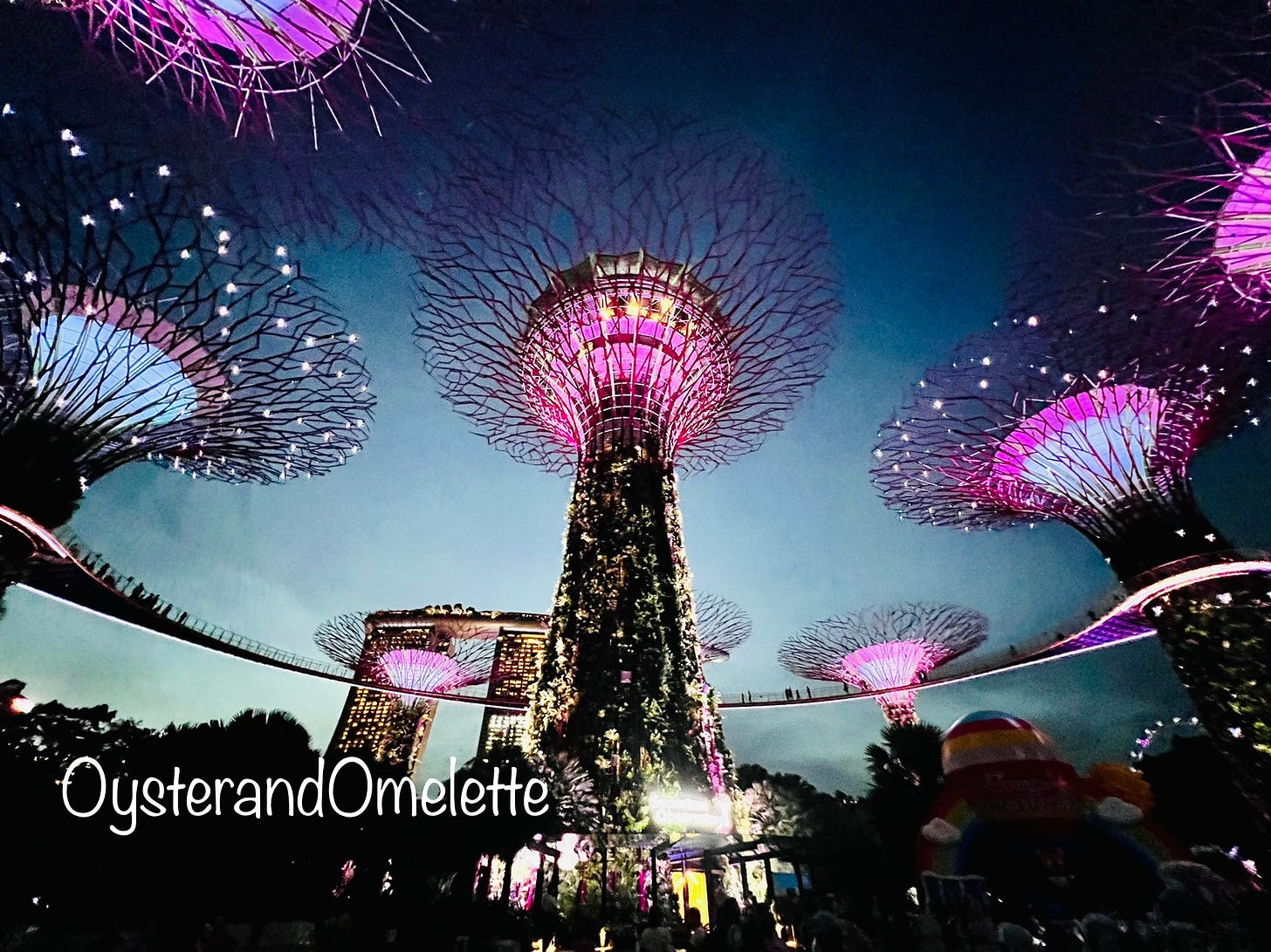 Lightshow at Gardens By the Bay