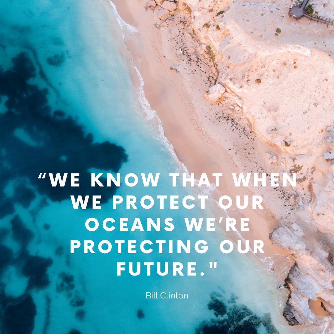 “WE KNOW THAT WHEN WE PROTECT OUR OCEANS WE’RE PROTECTING OUR FUTURE."  Bill Clinton