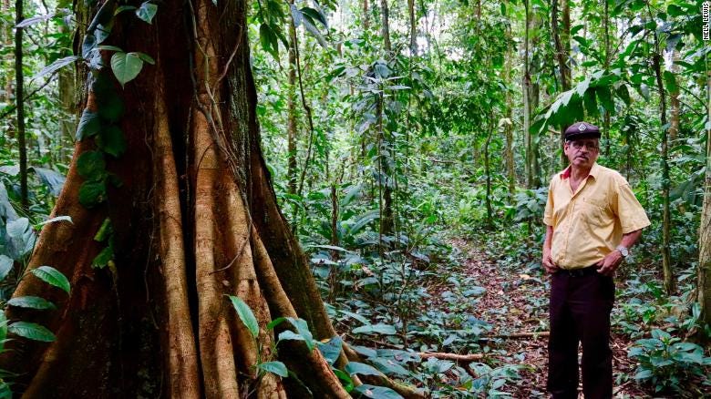 Elicinio Flores walks through his patch of rainforest daily, proud of what he has  preserved.