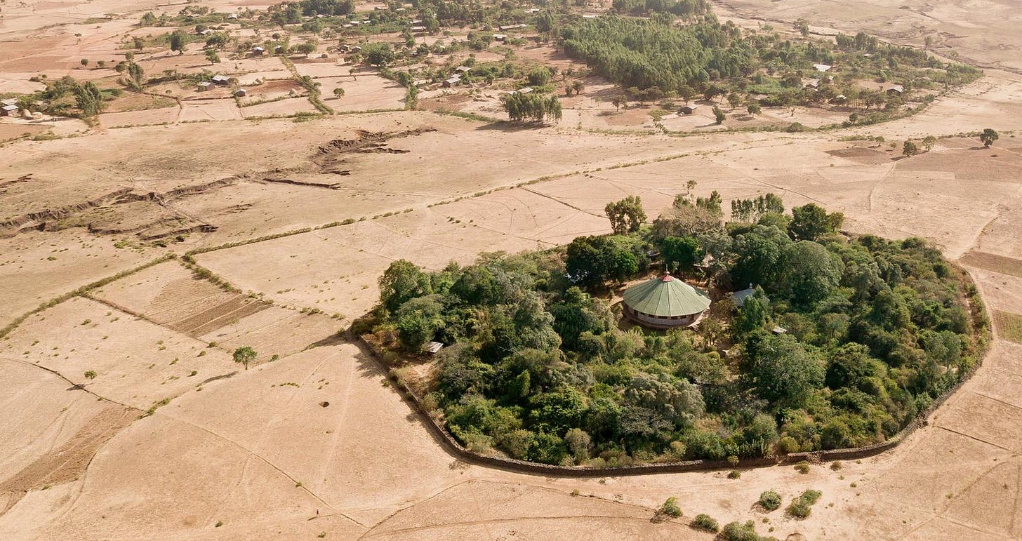 A walled church forest in Ethiopia
