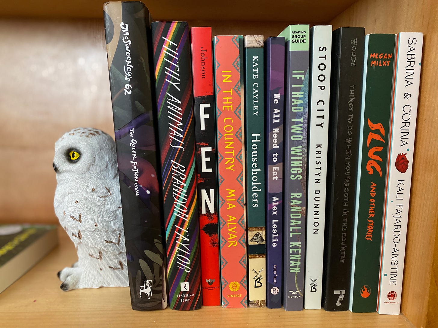 A white ceramic snowy owl bookend with yellow eyes leans against a shelf of short story collections: McSweeny’s Queer Fiction Issue, Filthy Animals, Fen, In the Country, Householders, We All Need to Eat, If I Had Two Wings, Stoop City, Things to Do When You’re Goth in the Country, Slug, Sabrina & Corina.