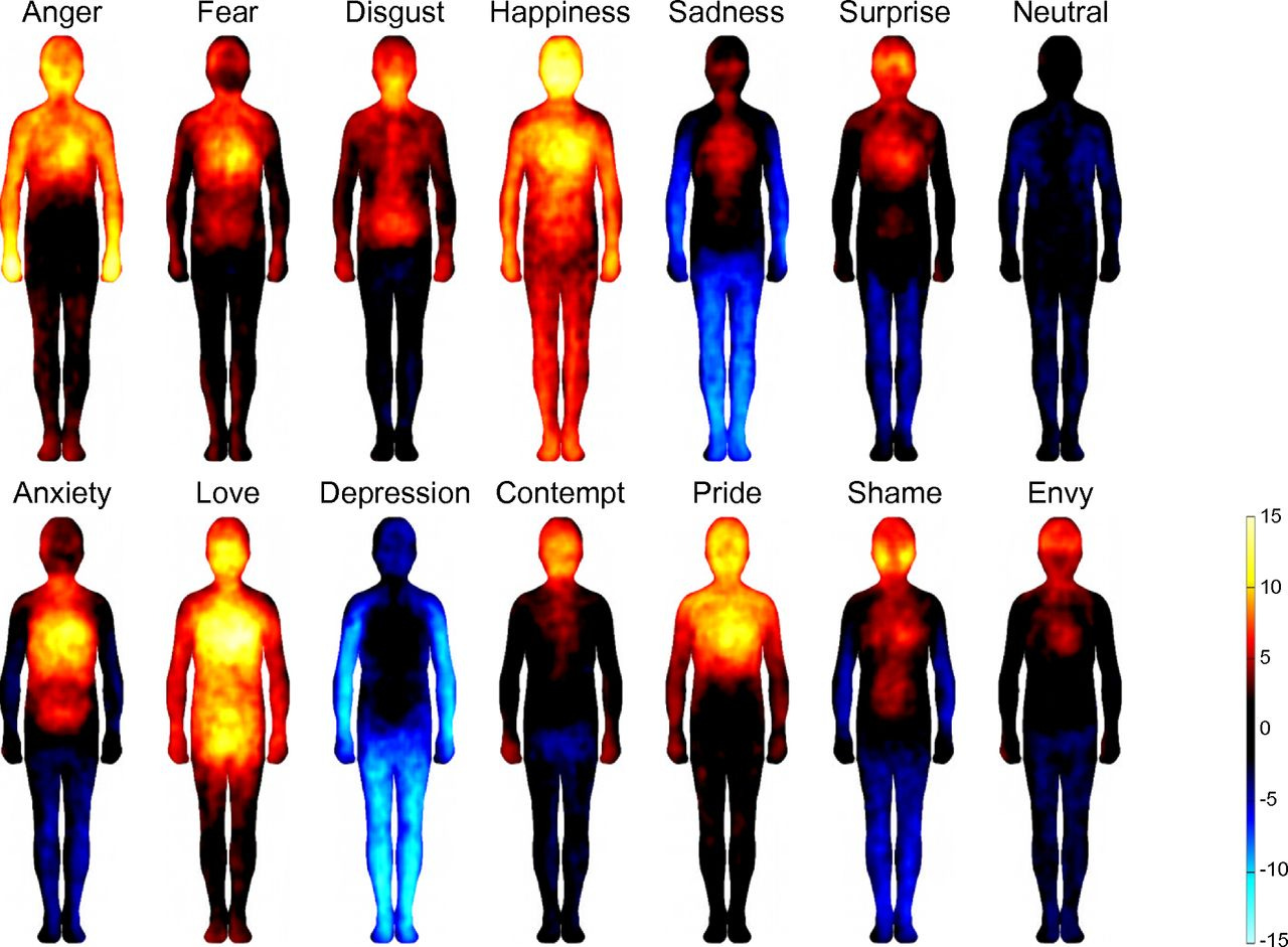 Bodily sensation maps reported by subjects in a study published by Lauri Nummenmaa, Enrico Glerean, et al. PNAS, 111 (2) 646 651; https://doi.org/10.1073/pnas.1321664111, January 14, 2014. 