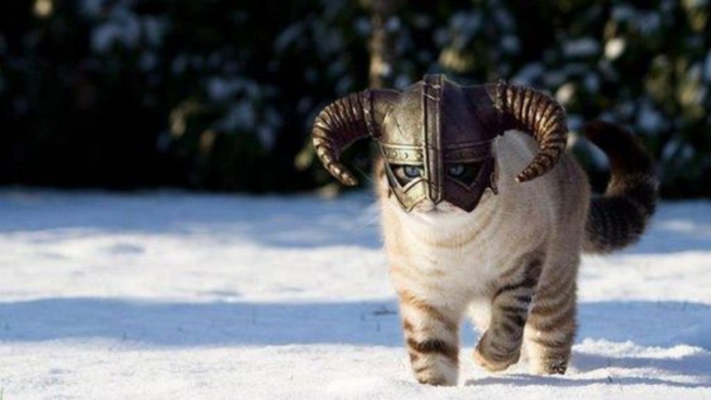 Lo and Behold: The Viking Sailors Took Cats with Them - BaviPower Blog