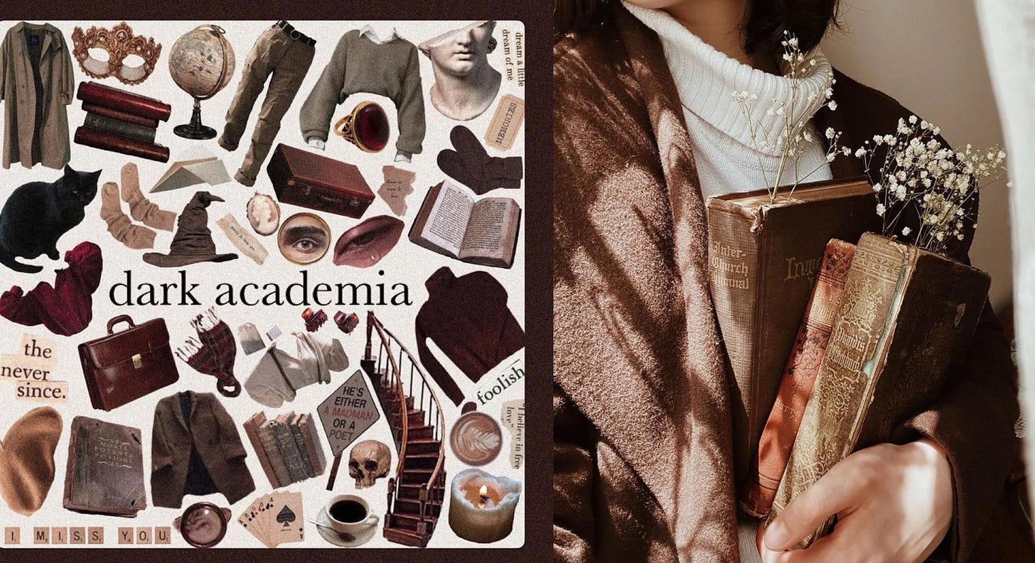 the left side: photo collage of dark colored clothes, black cats, globes, statues, briefcases, and other dark-colored things with text that says "dark academia." the right side is a close-up of a woman wearing dark clothes, holding old books and baby's breath flowers.