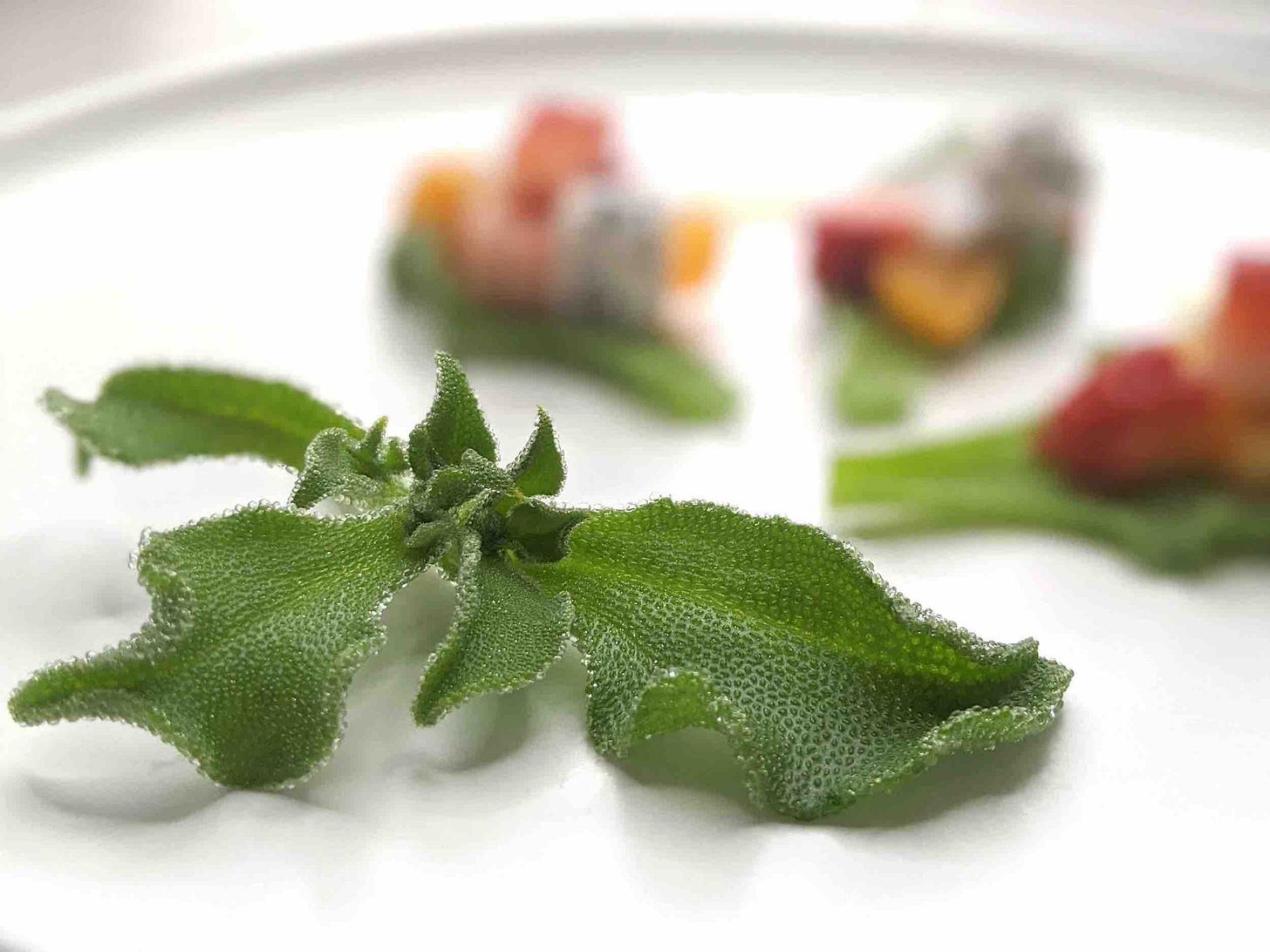ice plant