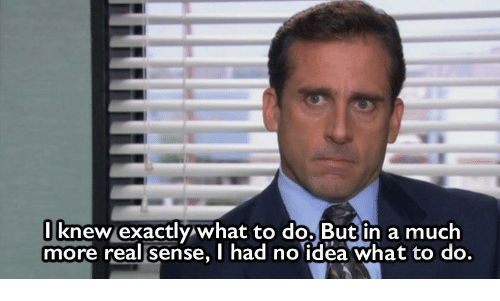 I Knew Exactly to Do but in a Much What More Real Sense I Had No Idea What  to Do | the Office Meme on ME.ME