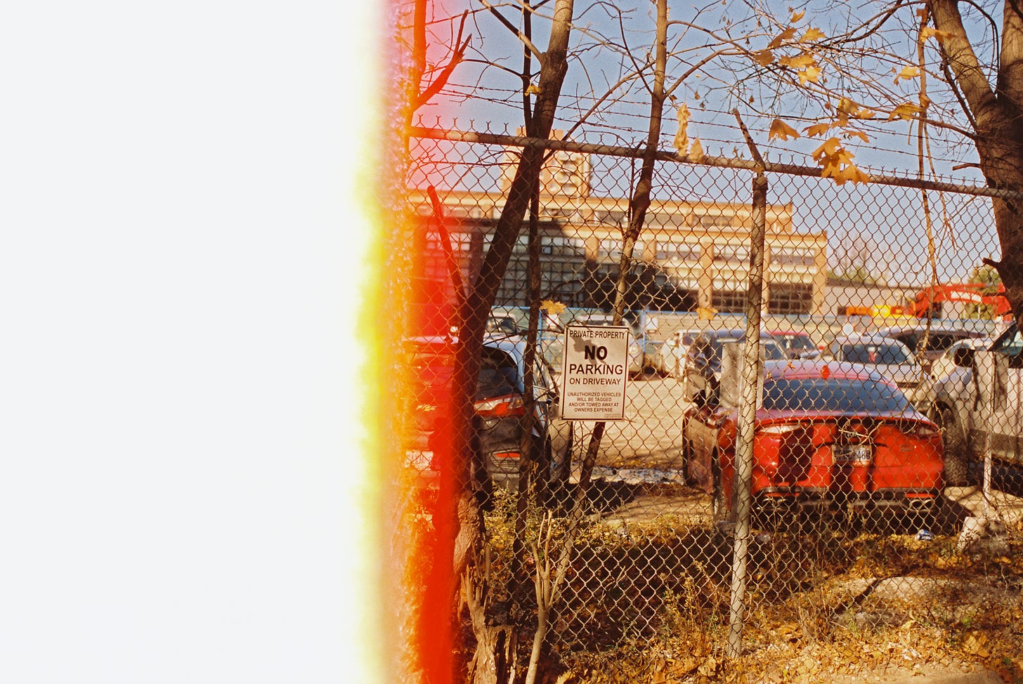 A photograph of a chain link fence, cars parked, and a tree. The left edge is blank where the film was overexposed.