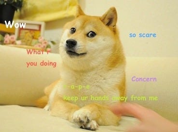 Doge meme 2013 dogecoin aconomics profile