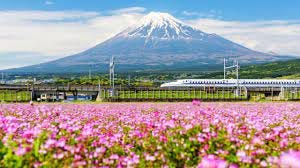 The Tokaido Shinkansen - Japan Rail Pass