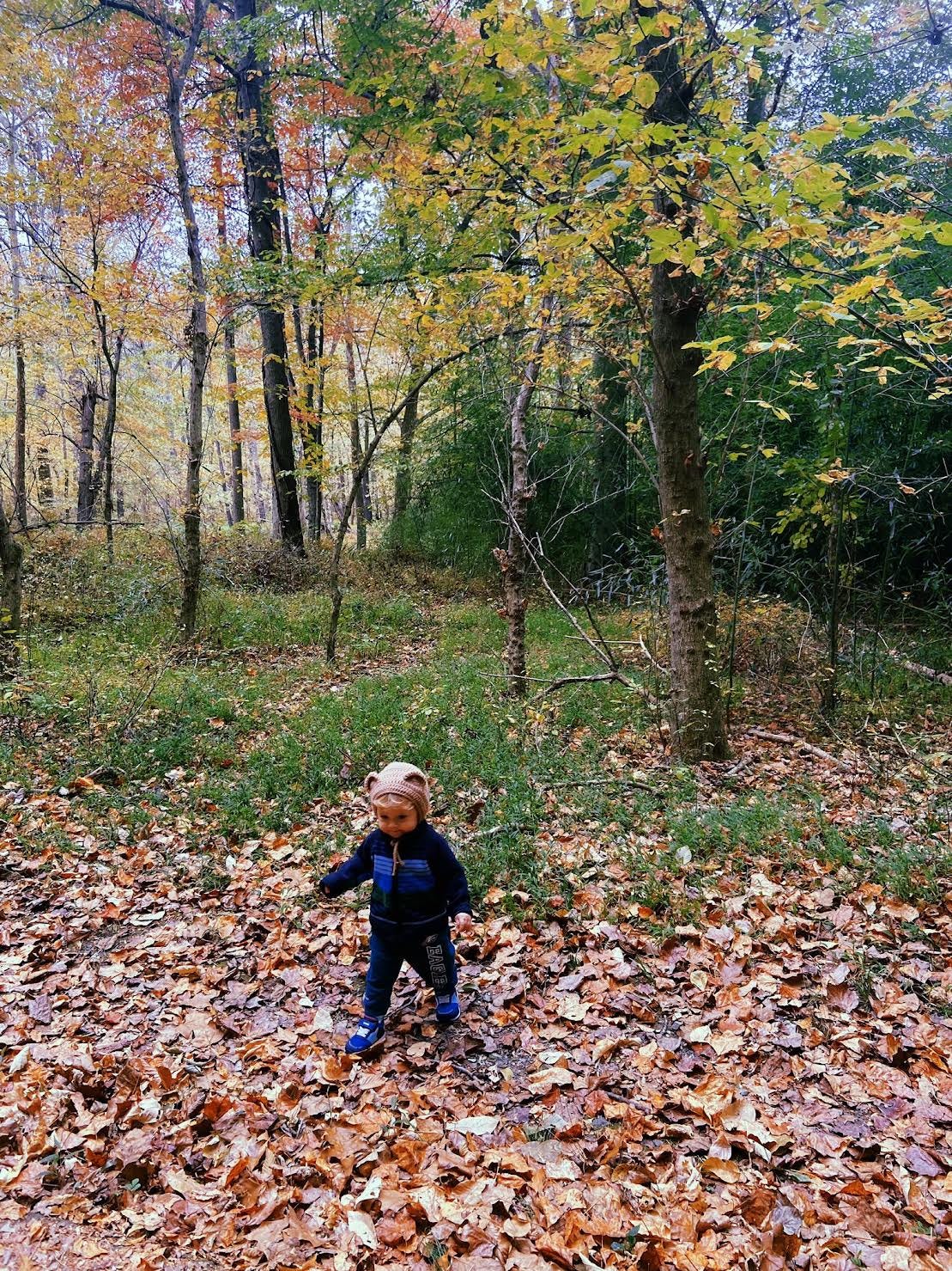child with bear ear hat walking ontop of leaves in a forest