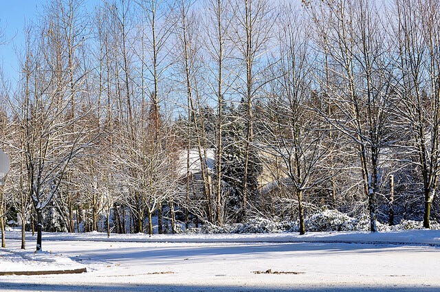 Snow Day_11 23 10_0004