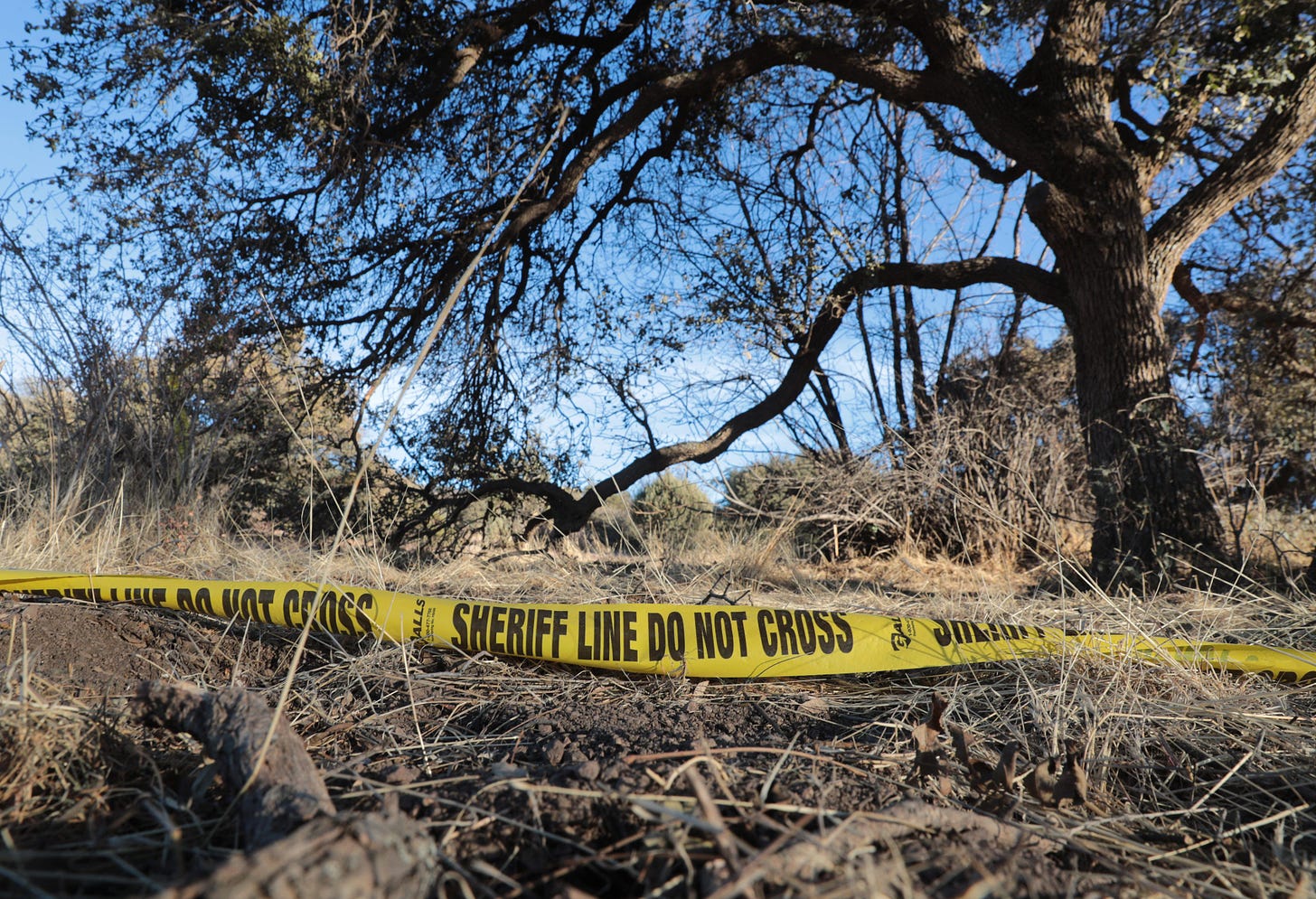 Body broker&#39; arrested after &#39;dumping five severed heads and 24 limbs in  Arizona forest&#39;