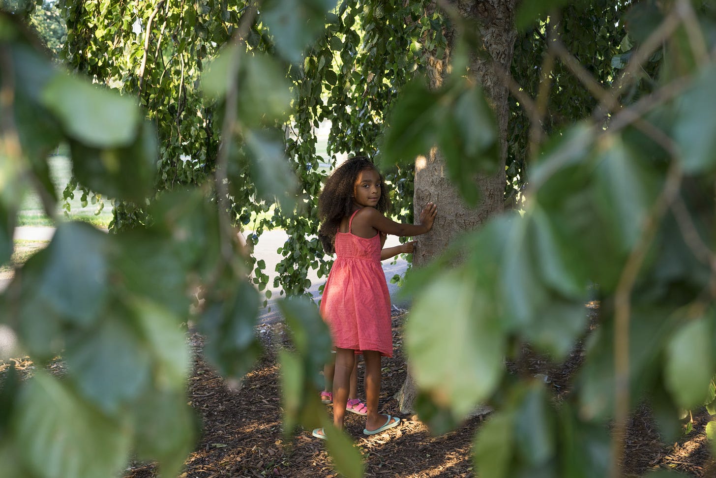 A brown skinned girl with long curly hair leans against a tree trunk and looks over the shoulder, straight at the camera. The point of view of the camera comes from within the leaves of a green bush that is out of focus. 