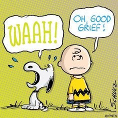 440 Good Grief Charlie Brown ideas | charlie brown, charlie brown and  snoopy, snoopy love