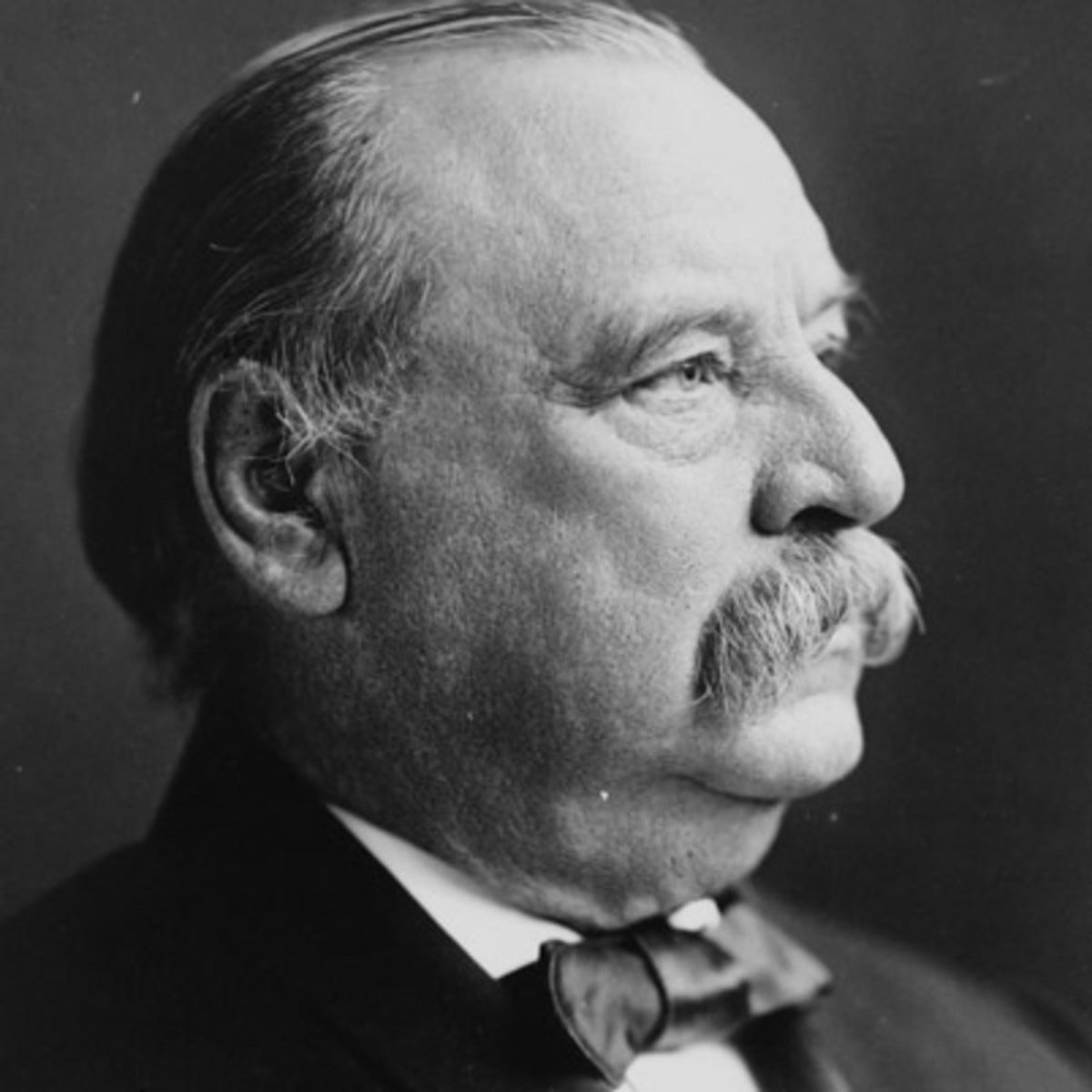 Grover Cleveland - Lawyer, Governor, U.S. President, Mayor ...