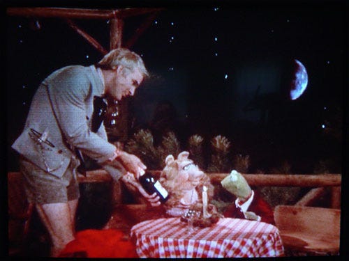 Image result for steve martin muppet movie
