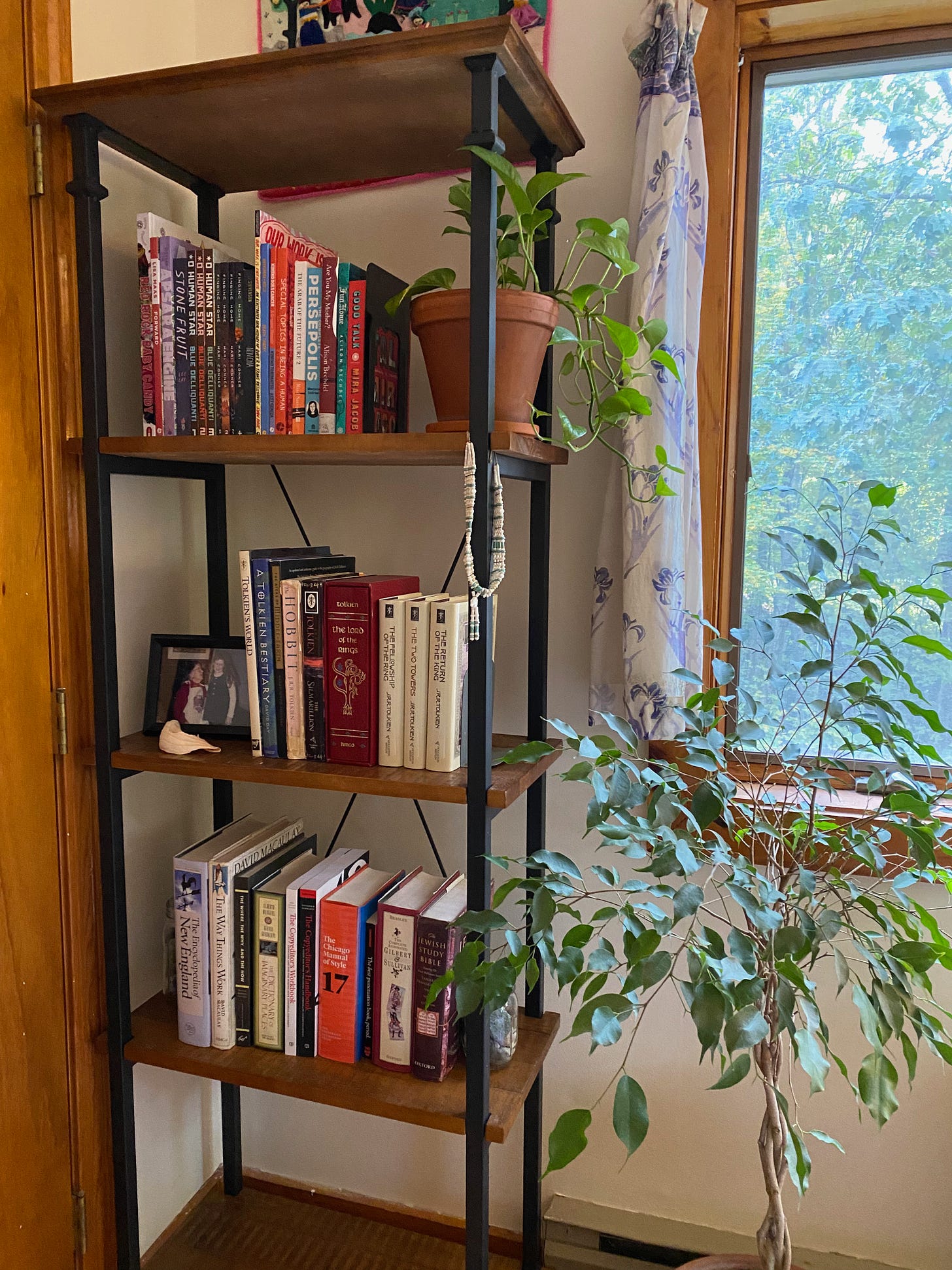 A tall open shelf full of comics and graphic novels, Tolkien books, and reference books.