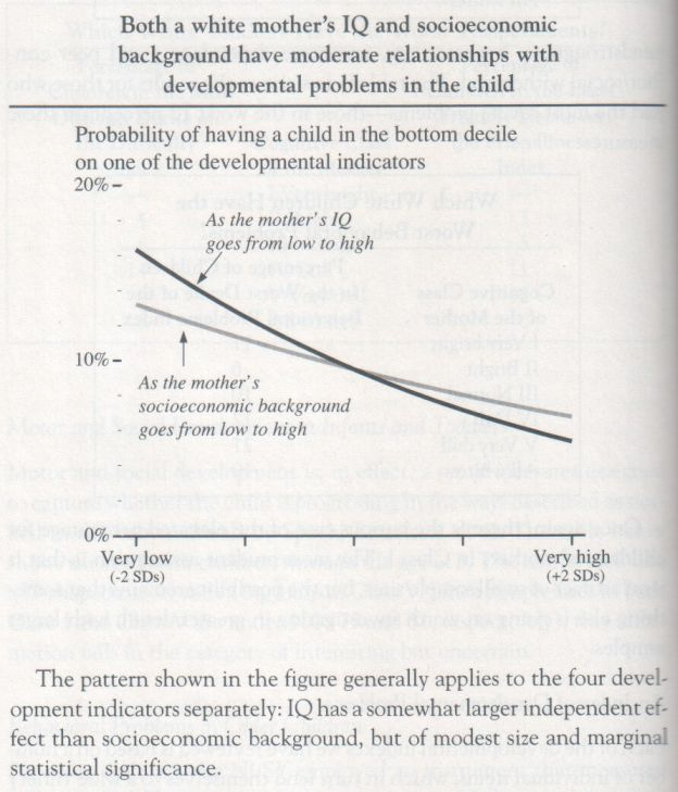 the-bell-curve-1994-herrnstein-and-murray-graph-p-228