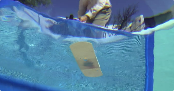 Bandaid in Bartlett pool allows overweight teen swimming in shirt a chance  to jump off diving board unnoticed. — The OAM Network