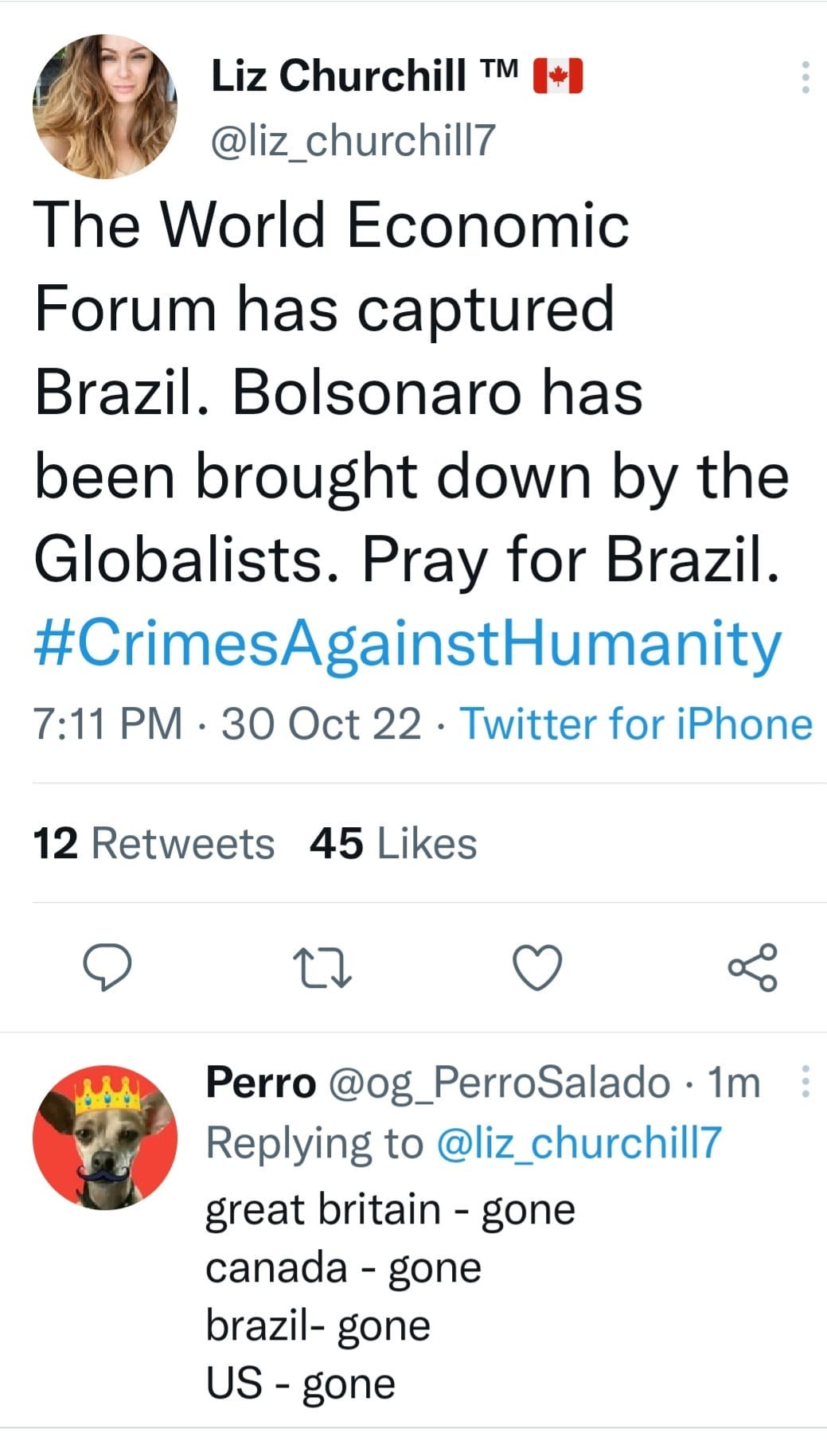 May be a Twitter screenshot of 1 person and text that says 'Liz Churchill TM @liz_churchill7 The World Economic Forum has captured Brazil. Bolsonaro has been brought down by the Globalists. Pray for Brazil. #CrimesAgainstHumanity 7:11 PM 30 Oct 22 Twitter for iPhone 12 Retweets 45 Likes Perro @og_PerroSalado 1m Replying to @liz_churchill7 great britain- gone canada- gone brazil- gone US- gone'