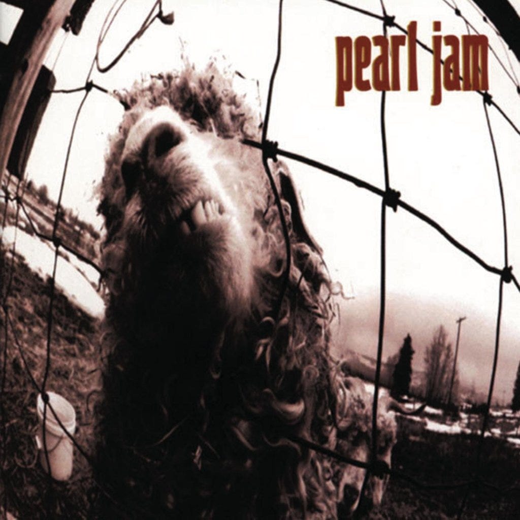 Pearl Jam vs (1993)