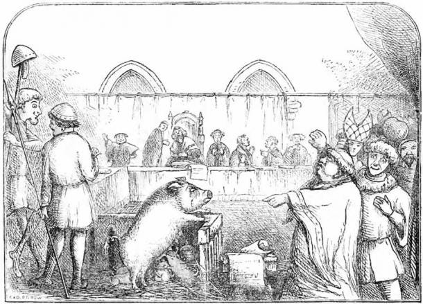 Illustration depicting a sow and her piglets being tried for the murder of a child. The trial allegedly took place in 1457, the mother being found guilty and the piglets acquitted. (InverseHypercube / Public Domain )