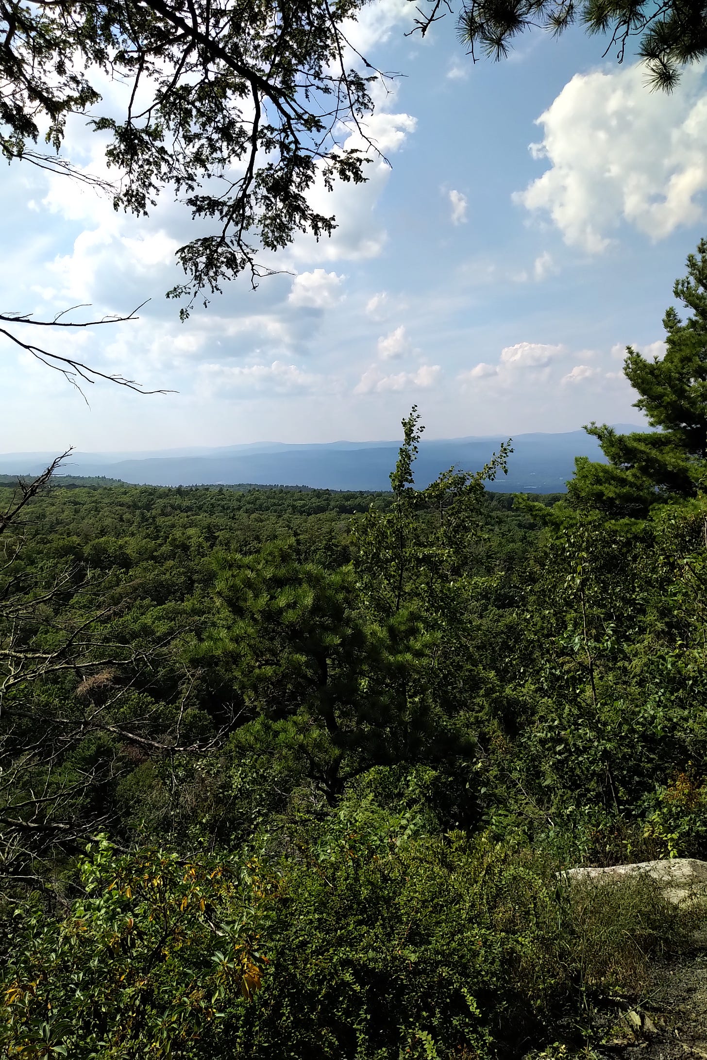A summer view across a valley, framed by tree branches, in the Mohonk Preserve.