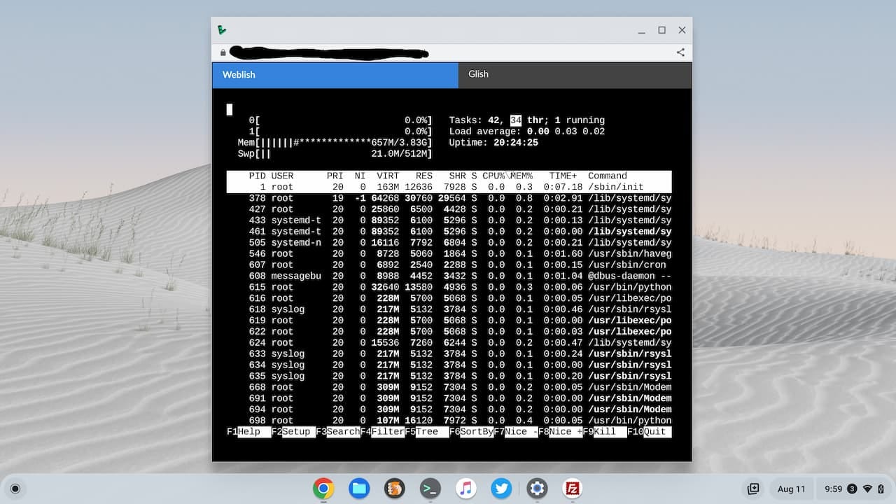 Remote server session on a Chromebook