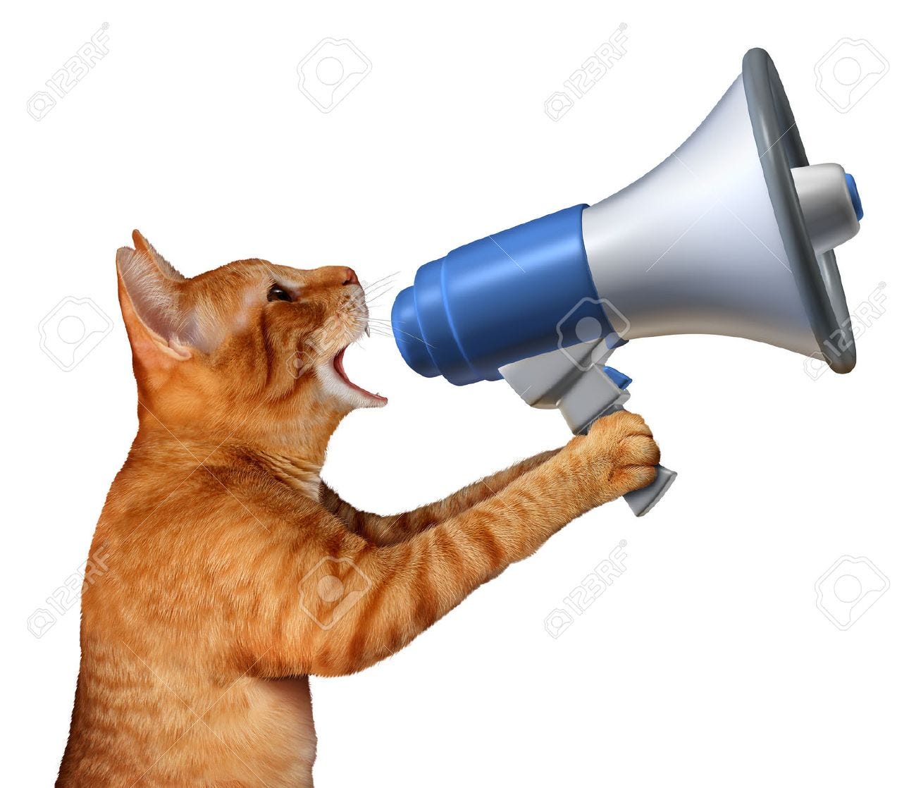 Cat Announcement Concept As A Generic Feline Holding A Bullhorn Or Megaphone  To Announce News Or Promote Pet And Veterinary Issues Or Animal Marketing  And Promotion Isolated On A White Background. Stock