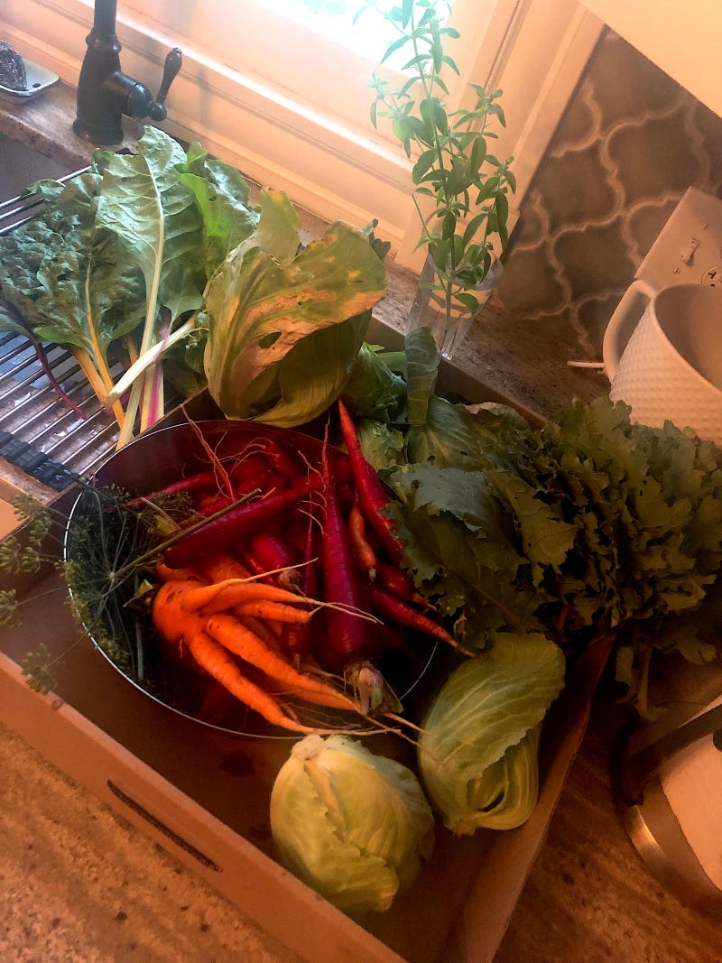Carrots and cabbage