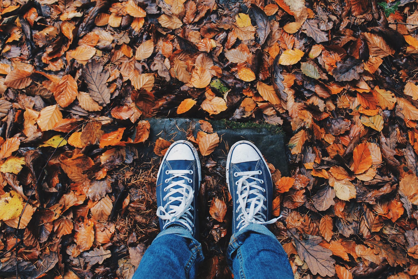 Looking down at black converse shoes and blue jeans surrounded by orange, brown autumn leaves
