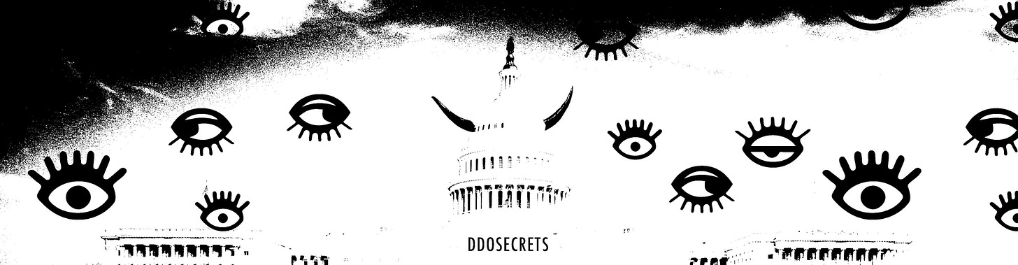 A black and white image of the U.S. Capitol building with devil horns on the central rotunda spire, surrounded by a rainfall of eyeball illustrations. Text reading DDOSECRETS is placed underneath the central portion of the building.