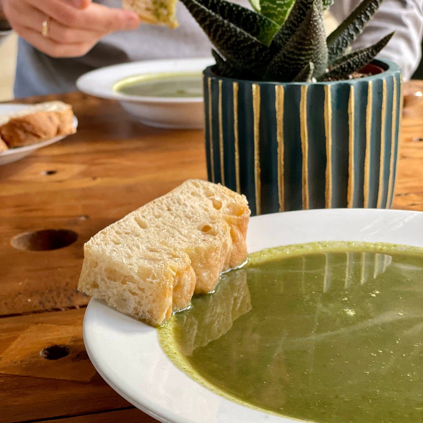 White bowl with green soup made from chard, lettuce and spinach, with a piece of focaccia bread to the side. 