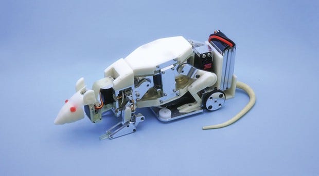 WR-5 robot rat