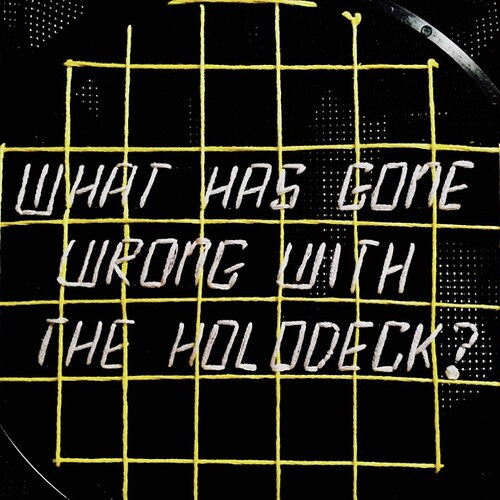 A needlepoint in classic TNG holodeck design and the words "What has gone wrong with the holodeck?"