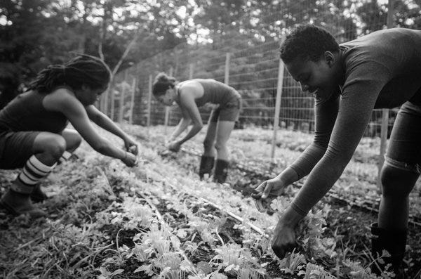 Bringing People Of Color Back To The Land