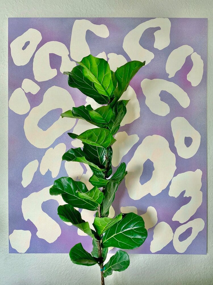 Ficus Lyrata Single Column.jpg