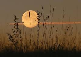 What Is the Harvest Moon? | Harvest Moon Facts and Folklore | The Old  Farmer's Almanac