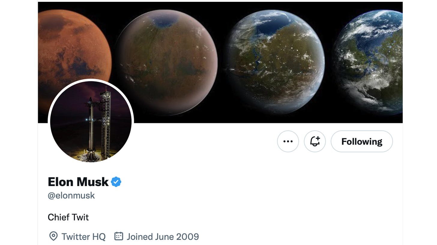 Elon Musk's Twitter account. Bio says: "Chief Twit"